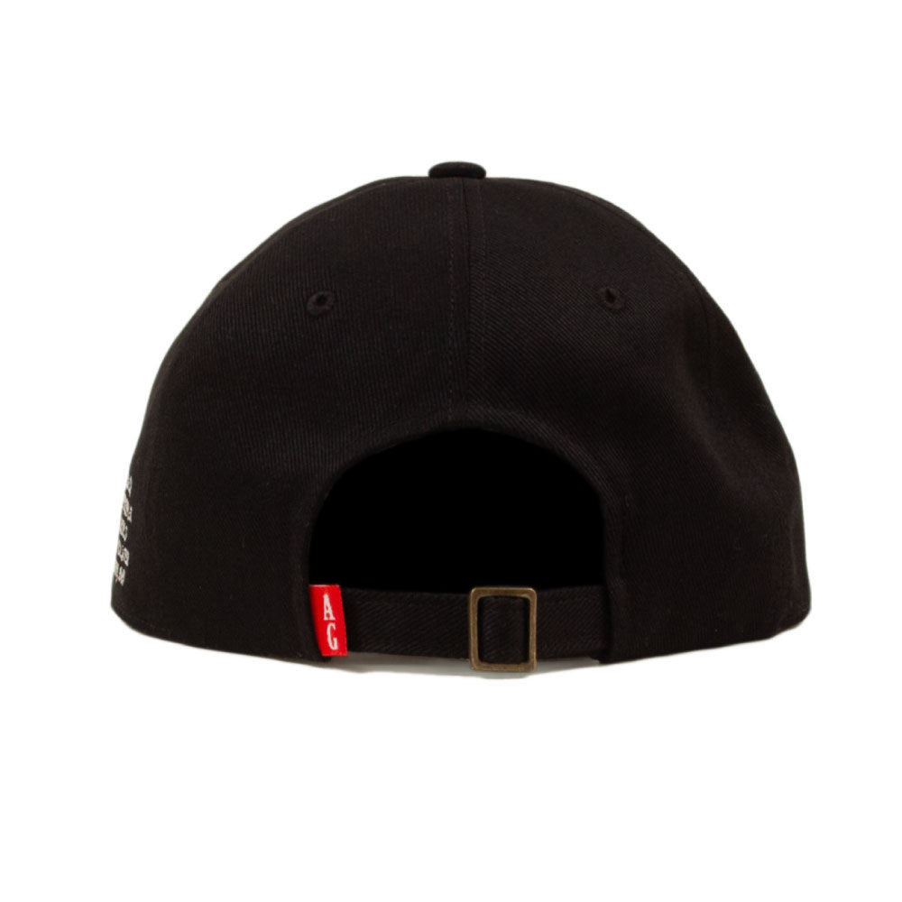 NY Logo 6-Panel Cap ニューヨーク パネル キャップ 帽子
