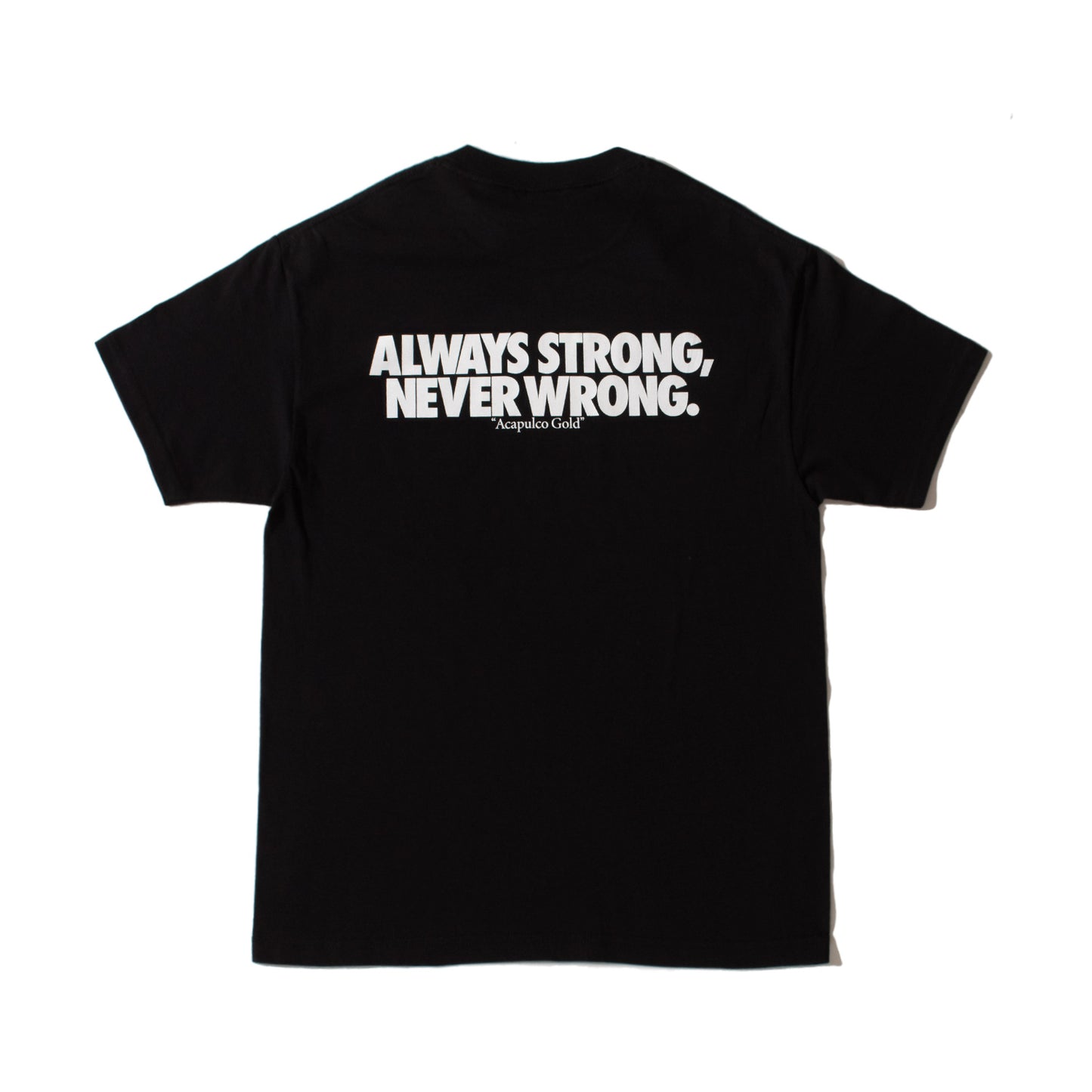 FOLLOW THE LEADER S/S Tee 半袖 Tシャツ