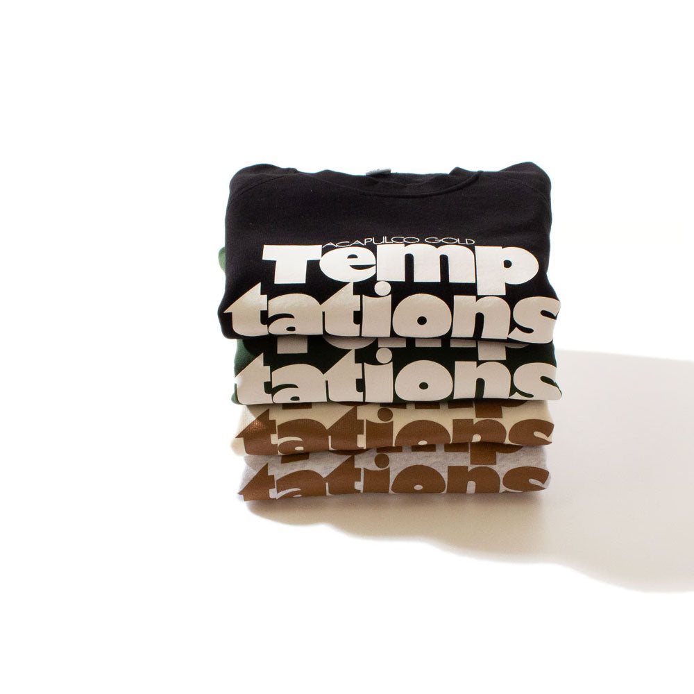 Temptations Raglan Sleeve Crew neck Sweat shirt クルーネック スウェット