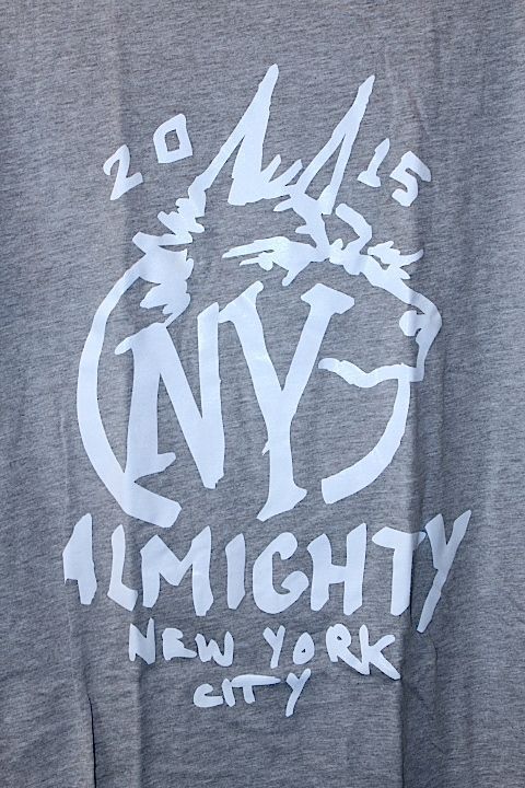 Almighty 7(オールマイティーセブン) NYC S/S Tee Grey Tシャツ