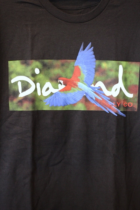 Diamond Supply Co(ダイアモンド サプライ) TROPICAL S/S Tee Black Tシャツ