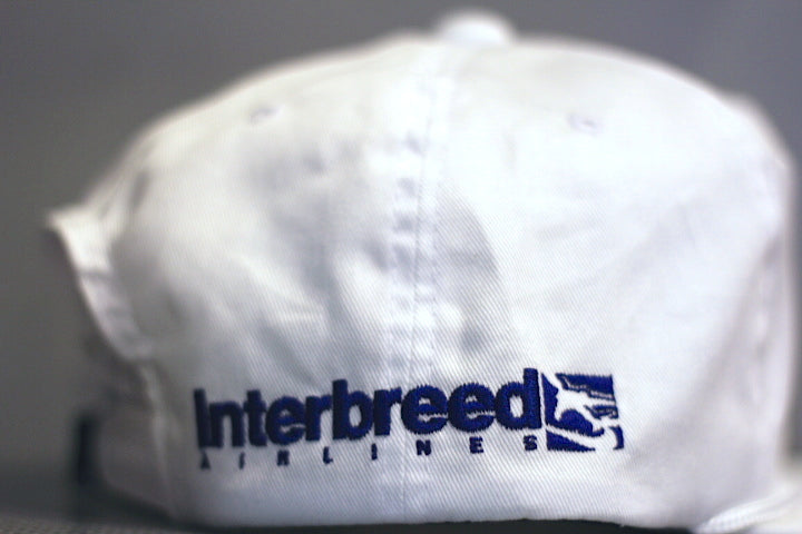 IB AIR Snapback Cap White エアー スナップバック