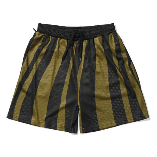 Distorted Stripe Mesh Shorts メッシュ ショーツ