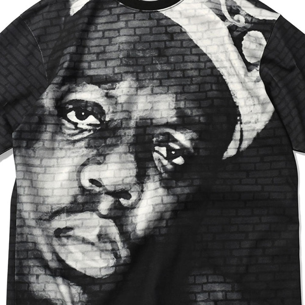 Biggie Mural S/S Tee ビギー 半袖 Tシャツ